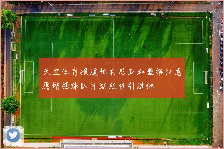 天空体育报道帕利尼亚加盟维拉意愿增强球队计划租借引进他