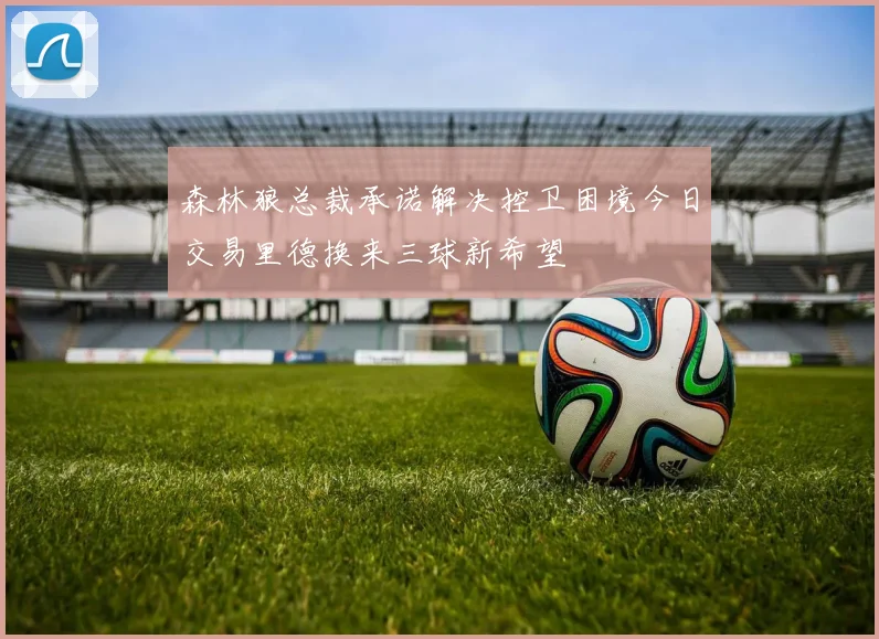森林狼总裁承诺解决控卫困境今日交易里德换来三球新希望