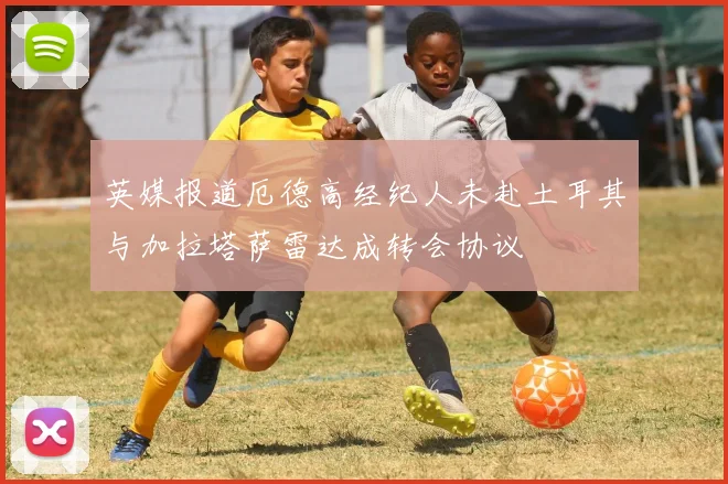 英媒报道厄德高经纪人未赴土耳其与加拉塔萨雷达成转会协议
