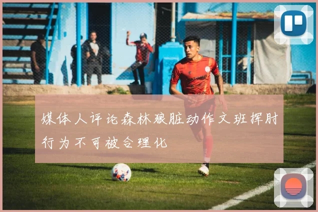 媒体人评论森林狼脏动作文班挥肘行为不可被合理化